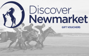 Newmarket stable tours