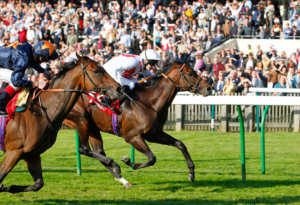 Educate touches off Code Of Honor in the 2013 Betfred Cambridgeshire