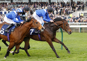 Craven