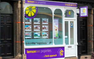 Lemontree Scrolling4