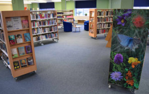 Library Scrolling