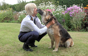 RSPCA Scrolling4