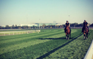 RogerVarian Scrolling