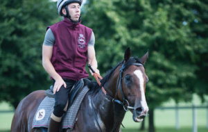 RogerVarian Scrolling5