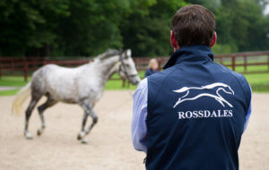 Rossdales4 Scrolling