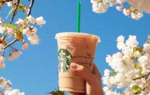 Starbucks Scrolling2