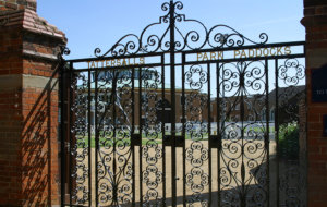 Tattersalls Scrolling