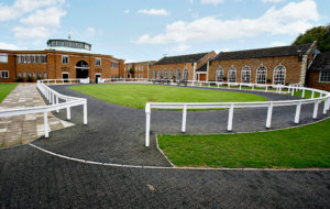 Tattersalls Scrolling2