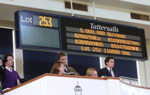 Tattersalls Scrolling5