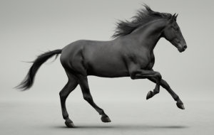 lloyds Scrolling2