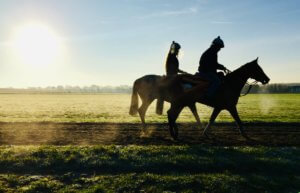 Horse racing days out