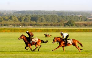 Horse racing tours