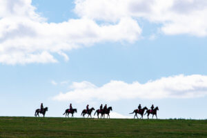 discover newmarket tours