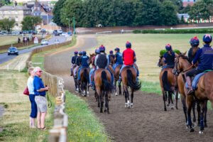 Gallops 3 of 26