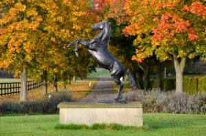 The National Stud