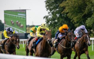 Behind Scenes Racecourse Tour