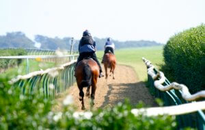 Shor Head Tour Discover Newmarket