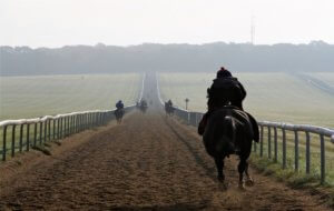 Short Head Tour Discover Newmarket