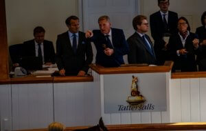 Discover Newmarket Tattersalls July sale