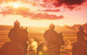 Horse racing tours