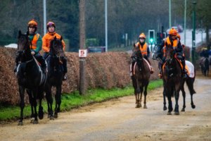Horse racing days out