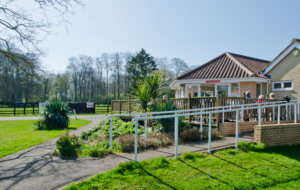 Wavertree's National Stud