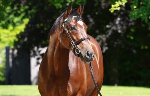 Frankel