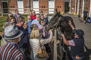 Visitors meet Kingsgate Native. Photo c Mark Atkins