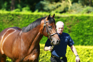 Muhaarar walking01