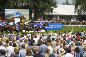 Newmarket experience