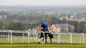 Newmarket Open Weekend