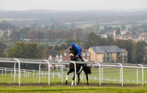 Henry Cecil Open Weekend