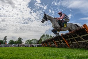 027 FAKENHAM RACES JUNE 2019 1