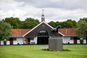 Discover Newmarket Gallops Stud 24 of 46