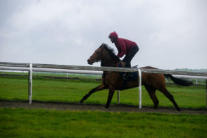 Feature Tour 11th May 2019 10 of 113