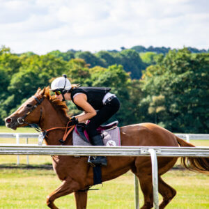 Gallops 17 of 26