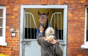 Ultimate Newmarket Experience Tour