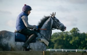 Newmarket Experience Web