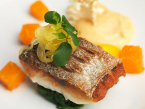 fdfish