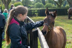 Discover Newmarket Junior Tour Guide Paige Peackock 21 of 21