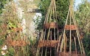 willow 2