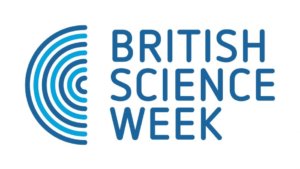 BSW 2020 logo