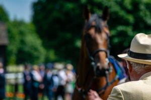 Newmarket July Course Summer 12 of 130