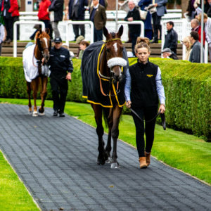 Rowley Mile September 2018 22 of 85