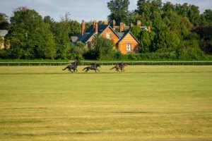 Discover Newmarket Gallops Stud 15 of 46