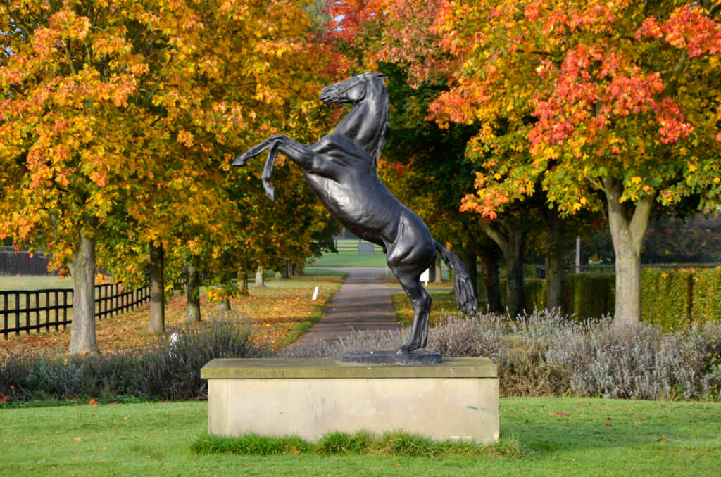The National Stud
