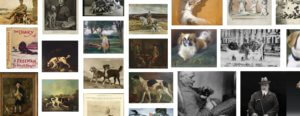 companions 1