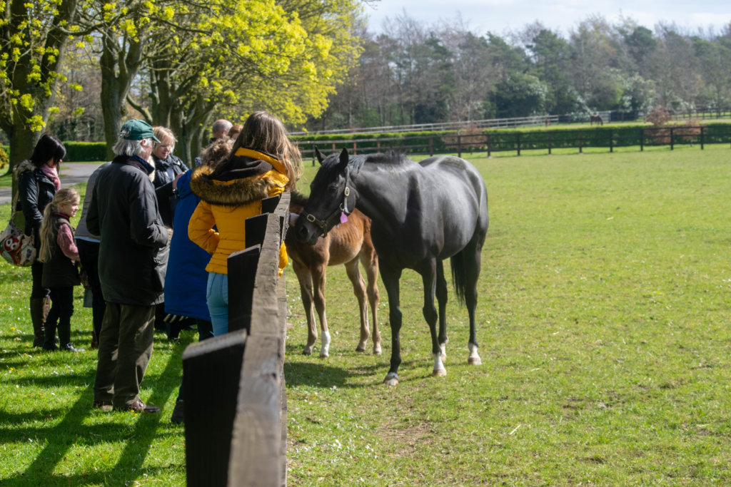 Guided tours