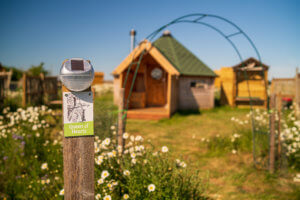 Mad Hatters Campsite