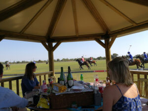 Polo and Picnic